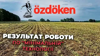 Результат роботи сівалки  Ozdoken по мінімальній технології.