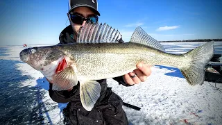 Early Ice Red Lake Walleyes (2020) Tips & Conditions