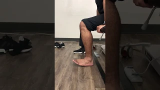 Seated dorsiflexion