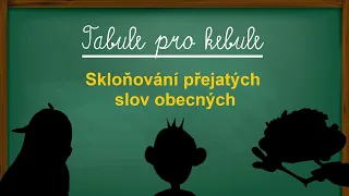 Skloňování přejatých slov obecných