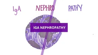 What is IgA Nephropathy?