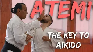 ATEMI | The Key to Improving Your Aikido Technique | Ep#1