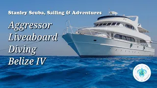 Aggressor Liveaboard Diving Belize IV