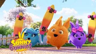 equipo de skate | As Aventuras de Sunny Bunnies | Desenhos Animados Infantis