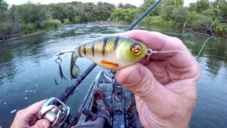 Explosive Action With The Whopper Plopper!