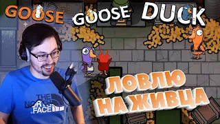 ПОДСАДНАЯ УТКА ► GOOSE GOOSE DUCK