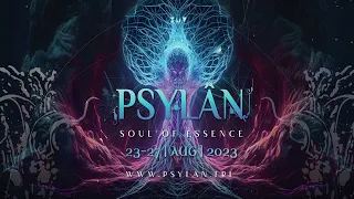 Hardcore Buddhist @ Psylân Festival 2023  (progressive chill out mix)