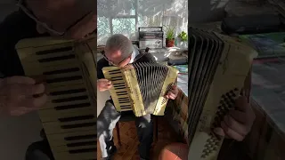 Hohner Verdi I piano accordion, 48 Bass, 2 voice, Germany Accordion, Musical instrument, Accordion