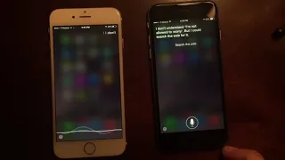 Female and Male Siri talking to each other!