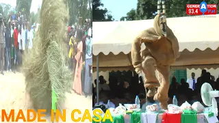 Made in Casa: la danse incroyable d'un " kumpo" en Casamance.We LoVe Casa Culture........