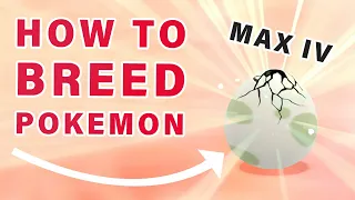 How to Breed Competitive Pokemon with MAX IVs ► Pokemon Brilliant Diamond | BDSP