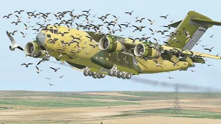 Worst Military Aircraft C-17 Take Off When Bird-Strike | X-Plane 11