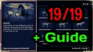 Red Dead Redemption 2 : ENCYCLOPÉDIE CHEVAUX 19/19 + GUIDE DE TOUTES LES MONTURES