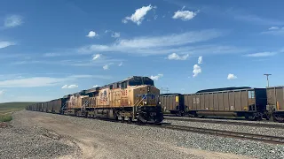 BNSF and Union Pacific Trains Of The Powder River Basin Part 1 August 2023