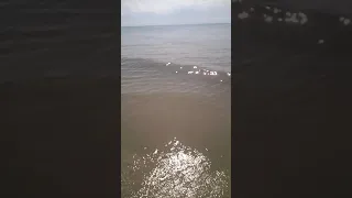 Азовское море сегодня 1 июля 2021. Бердянская коса.