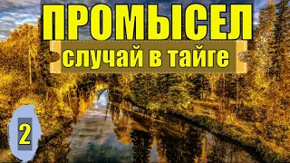 СЛУЧАЙ В ТАЙГЕ ПРОМЫСЕЛ СПЛАВ ПО РЕКЕ ЛОВЛЯ СОБОЛЯ ОТШЕЛЬНИКИ СУДЬБА ЧЕЛОВЕКА ЖИЗНЬ В ЛЕСУ ПОХОД 2