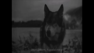 Bryan Adams - Can't take me | Magyar felirattal | Hungarian subtitles