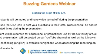 Buzzing Gardens - Cultivating California's Pollinator Paradise: A UC Master Gardener Webinar