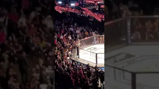 Kamaru usman KO jorge madvidal live crowd reaction