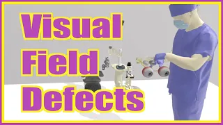 Visual Field Defects - FUN, SIMPLE, and MEMORABLE!