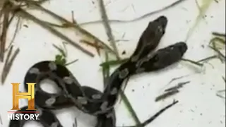 RARE TWO-HEADED SNAKE DISCOVERED | The Proof is Out There (Season 2) | Exclusive