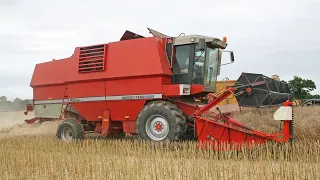 1990s Massey Ferguson 40RS combine | Dronningborg | Modern Classics | Combine Harvesters DVD