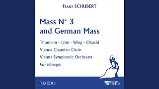 Mass No. 3 in B-Flat Major, D. 324: VI. Agnus Dei (Andante molto)