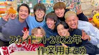 【作業用】スカイドット2022年まとめ(11月10日時点)