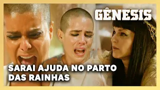 NOVELA GÊNESIS: Rainhas Aat e Khen dão a luz com a ajuda de Sarai