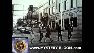 The Beatles - Paperback Writer - Cover by Mystery Bloom