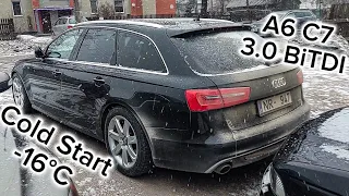 Audi A6 C7 Cold Start 3.0 BiTDI -16°C