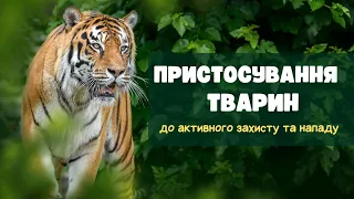 Пристосування тварин до активного захисту та нападу #біологія #тварини