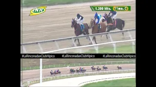 11ma.carrera | Maximus Fortune | Hipódromo Internacional La Rinconada | Reunión 42 | 2023