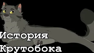 История Крутобока(по просьбе подписчика)/Коты-воители