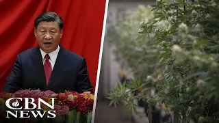 Chinese Investors with 'Suitcases Full of Cash' Buying US Farmland to Grow Black Market Weed