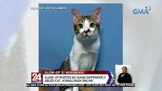 Glow-up photos ng isang differently abled cat, kinaaliwan online | 24 Oras Weekend