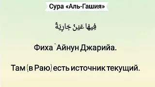 Сура 88 «Аль-Гашийа»(Покрывающее/Беда,которая покроет всех и вся)| Ясир Аль-Досари| Yasser Al Dosari