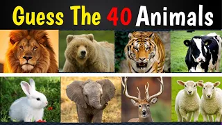 Guess The Animals 40 in 3 Seconds Correct Answer ll Quiz show