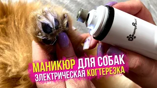 Гриндер для собак и кошек, когтерезка для собак DownyPaws. Маникюр для шпица