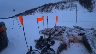 Первый лед 2019-2020 Рыбалка в Якутии. Крайний день. Пора домой!