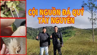 CỘI NGUỒN ĐÁ QUÝ TÂY NGUYÊN