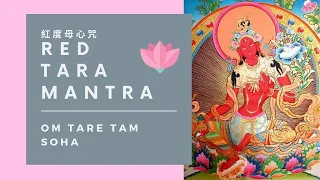 Red Tara Mantra 紅度母心咒 (30 mins)Compassion, love, relationship - Om tare tam soha（relaxing ver.輕快版）