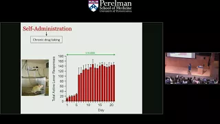 Fall 2017: Can Anti-Diebetic Drugs be Used to Treat Cocaine Addiction? (Dr. Heath D. Schmidt)