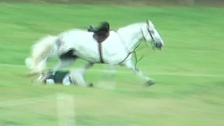 Rider falls and is dragged by stirrup