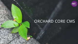 Orchard Core CMS | PGHDOTNET