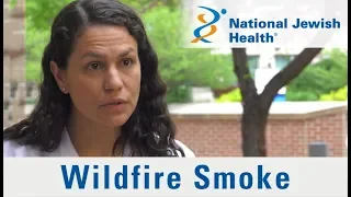 Long and Short-Term Effects of Wildfire Smoke