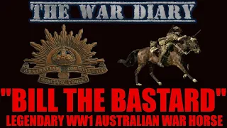 Bill The Bastard:  WW1 Legendary Australian War Horse