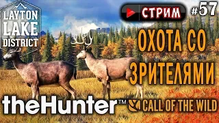 theHunter Call of the Wild #57 СТРИМ 🔫 - Охота со Зрителями - Револьвер, Ружьё