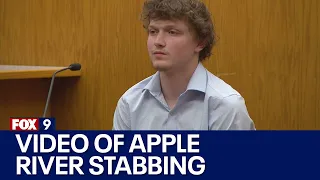 Apple River stabbing trial: Second video of altercation released