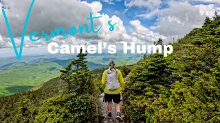 Hiking Vermont's Camel's Hump